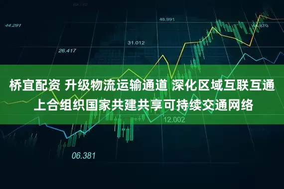 桥宜配资 升级物流运输通道 深化区域互联互通 上合组织国家共建共享可持续交通网络
