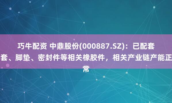 巧牛配资 中鼎股份(000887.SZ)：已配套头套、脚垫、密封件等相关橡胶件，相关产业链产能正常