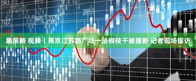 趣策略 视频｜南京江苏路广场一法桐枝干被撞断 记者现场探访